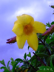IMG_3221_副本.jpg