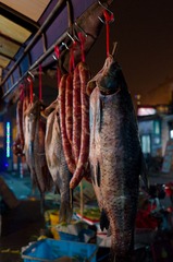 wingfish-rixi-dan效果的0114合影.jpg