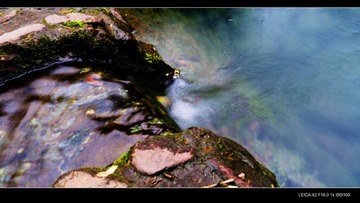 20130204-L1000498-2.jpg