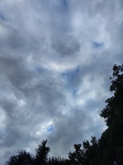 1000018197