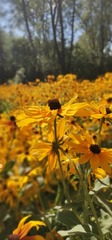 IMG_20240624_153108