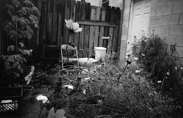 Scan-101203-0017.jpg