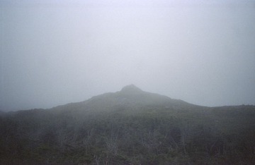 3b.jpg