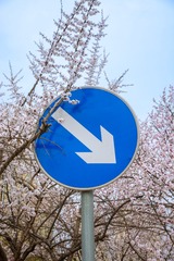 1000055362
