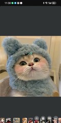 1123704