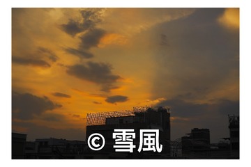 1000129492