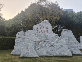 1000045240