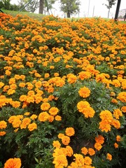 IMG_20241020_122016