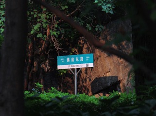 1000112631