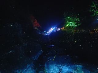 1000031596