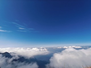 1000031541