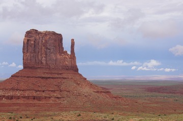 16836