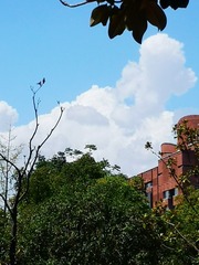 2205270