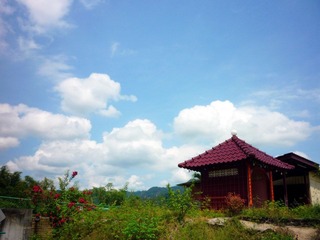 P1020577_副本.jpg