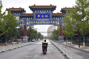 排排坐