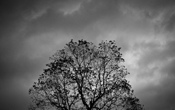 IMG_9796.jpg
