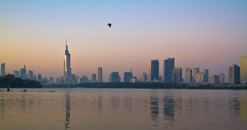 IMG_9863.jpg
