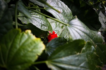 IMG_0282.jpg