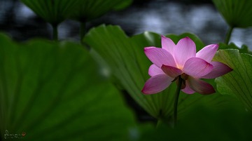 F17A681B-7A38-4B00-AB72-E4DD9DD4FF6B/L0/001