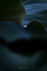 63FD8DED-079D-4515-94ED-5B498EDBD45F/L0/001