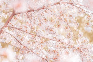 0D637E79-AC03-40A2-AD44-C77D7BEE4867/L0/001