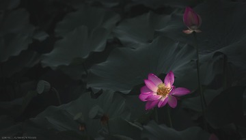 9A960FAB-BA8B-4BF3-B621-A5552D06738C/L0/001