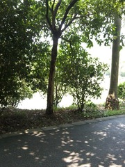 照片0508.jpg