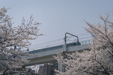 490317