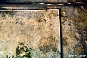 DSC_7885_副本.jpg
