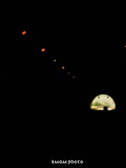 IMG_0168.jpg