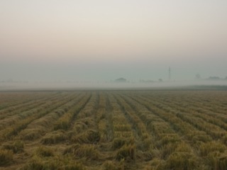 1000012356
