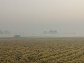 1000012354