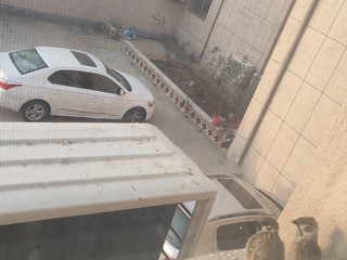 1000035740