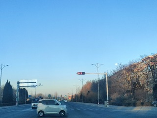 1000036186