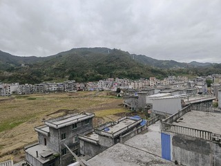 56547