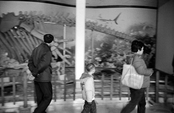 Untitled-29.jpg