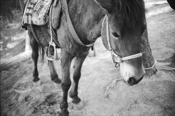 Untitled-29.jpg