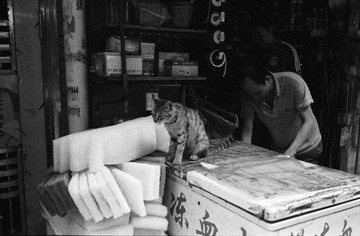 Untitled-26.jpg