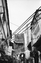 hao (4).jpg