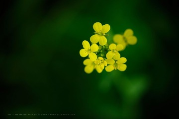 DSC_1916.jpg