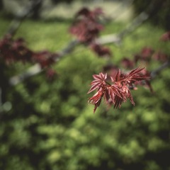 R0011592