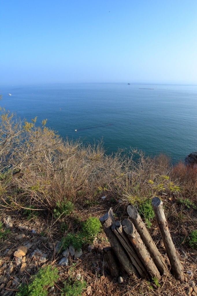 海