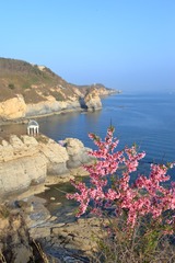 面朝大海，春暖花开