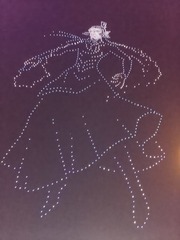 1000017993