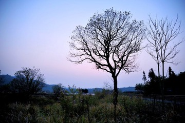 DSC_7448.jpg