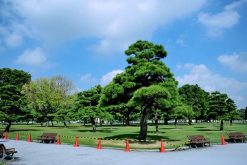 DSC_2767.jpg