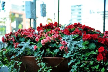 DSC_2821.jpg