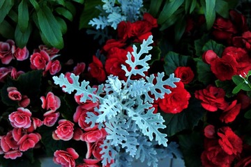DSC_2824.jpg