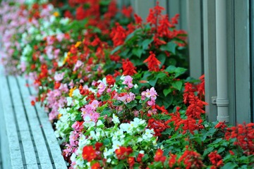 DSC_2878.jpg