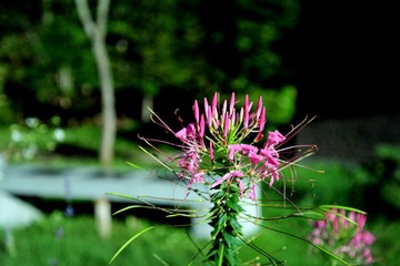 DSC_3049.jpg